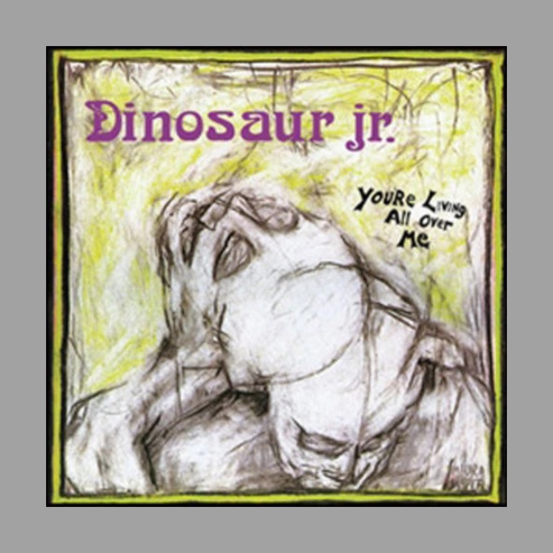Dinosaur Jr. - You're Living All Over Me