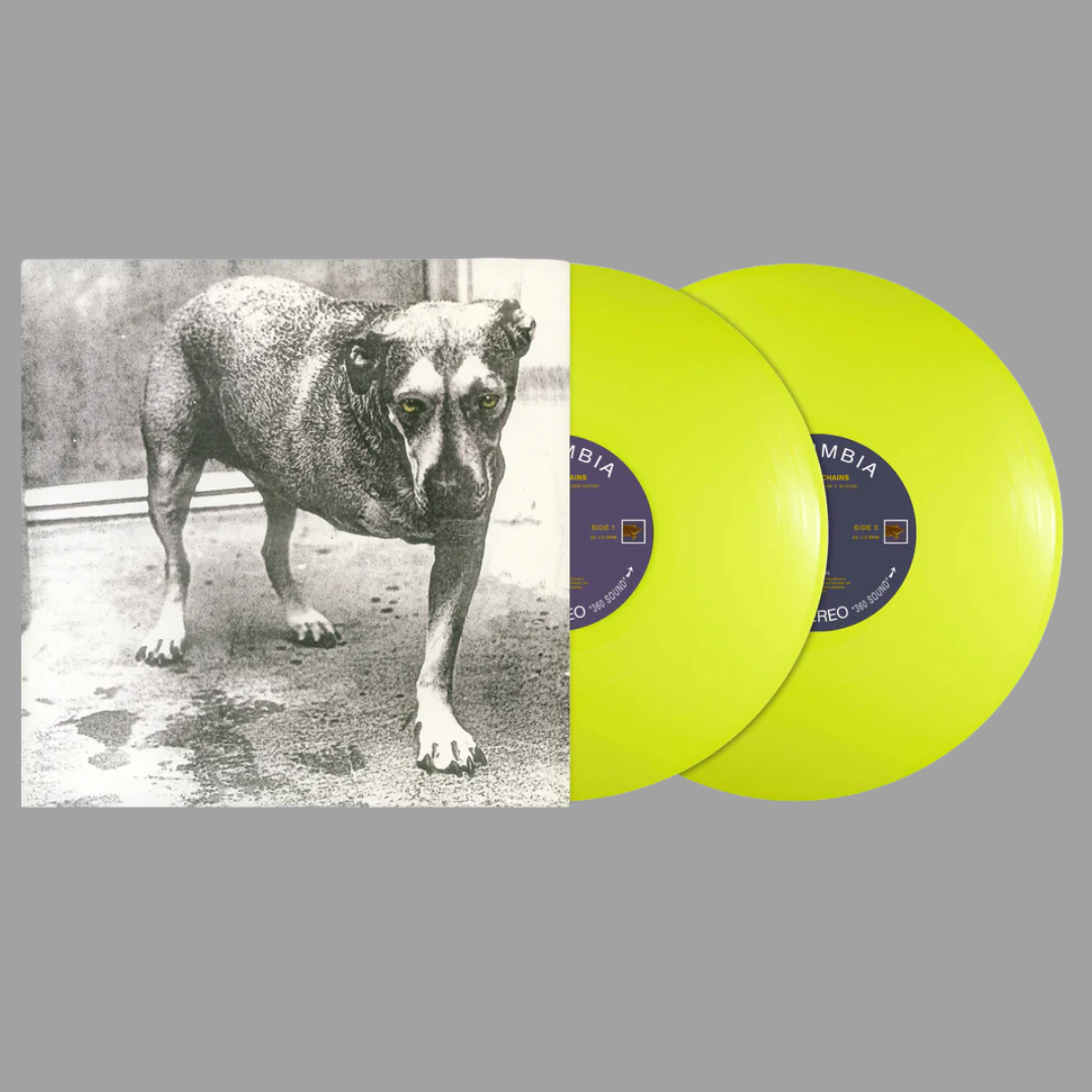 Alice In Chains - Alice In Chains (Limited 30th Anniversary
