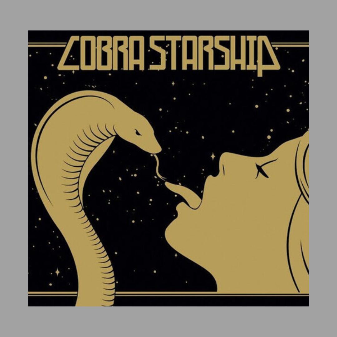 Cobra Starship - While The City Sleeps, We Rule The Streets