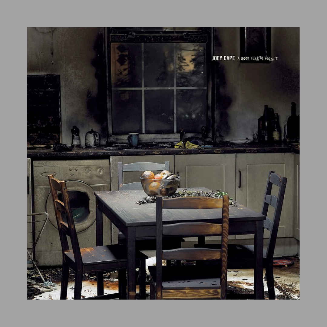 Joey Cape - A Good Year To Forget