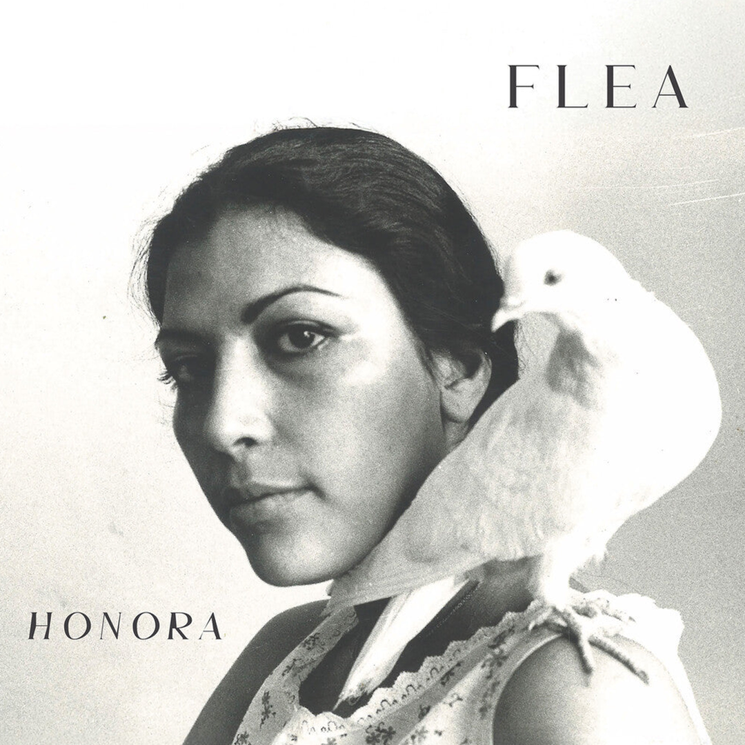 Flea - Honora