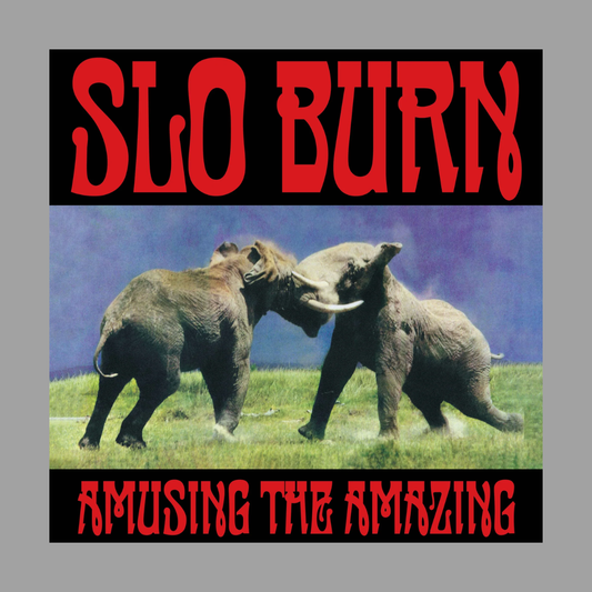 Slo Burn - Amusing The Amazing [RSD Black Friday 2025]