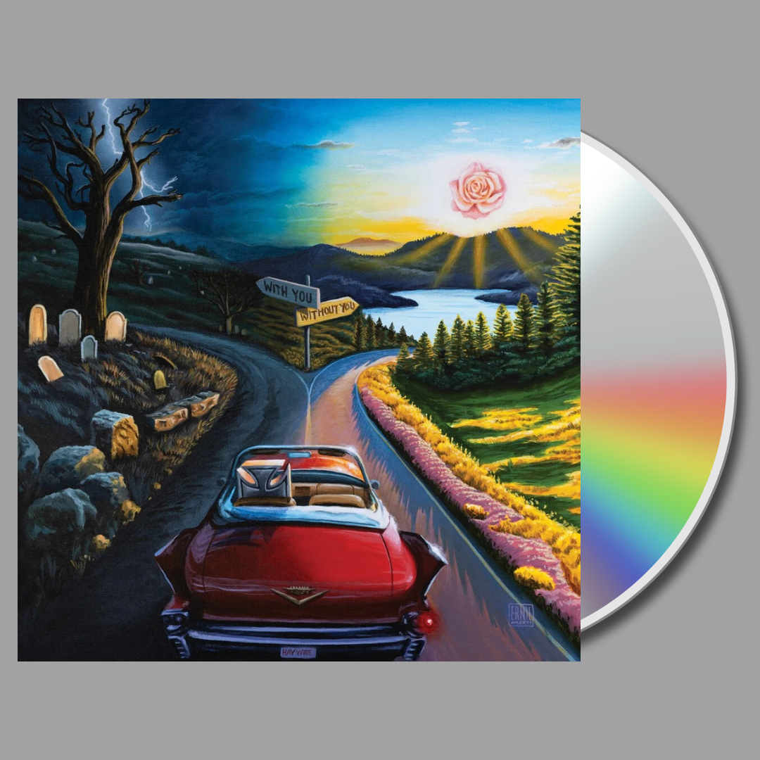 Haywire 617 - I Don't Wanna Say Goodbye CD [Preorder]