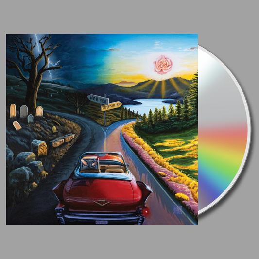 Haywire 617 - I Don't Wanna Say Goodbye CD [Preorder]