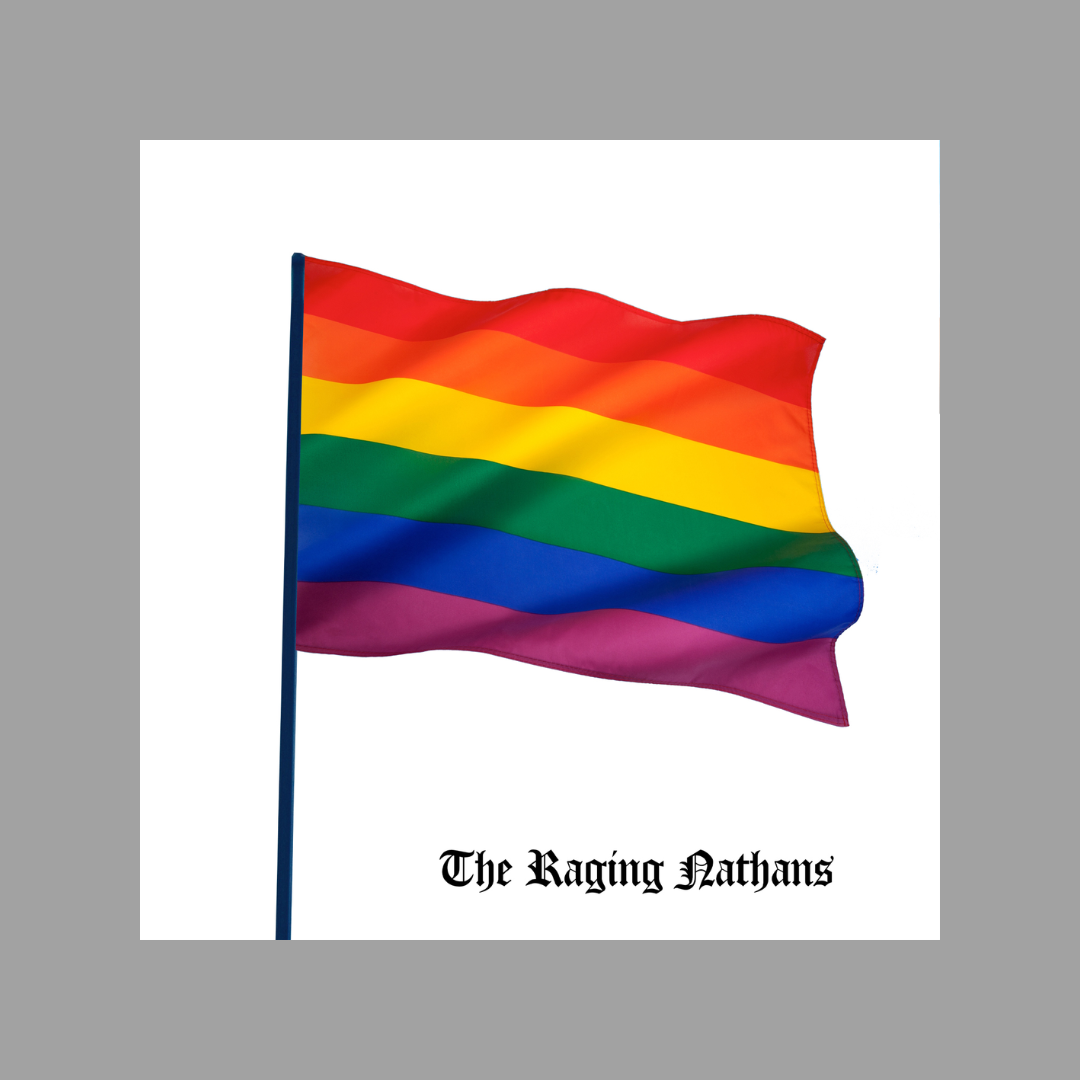 Raging Nathans - Bring Me The Head Of Betsy Devos 7"