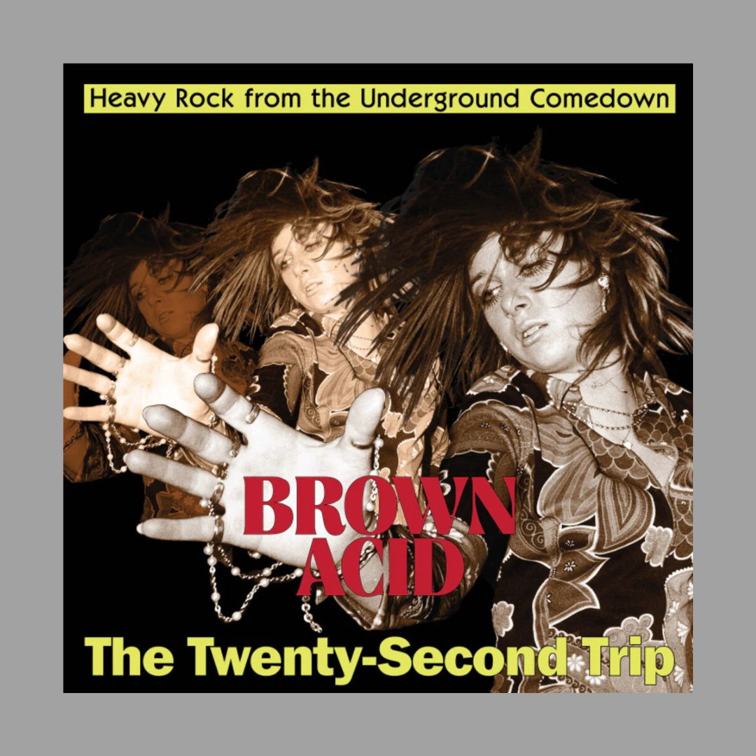 Brown Acid - Twenty-Second Trip: Heavy Rock From The Underground Comedown [Preorder]