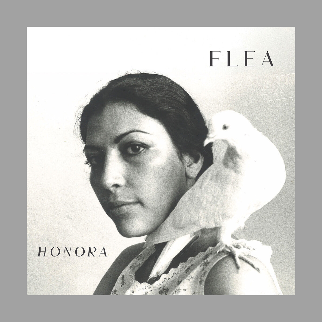 Flea - Honora
