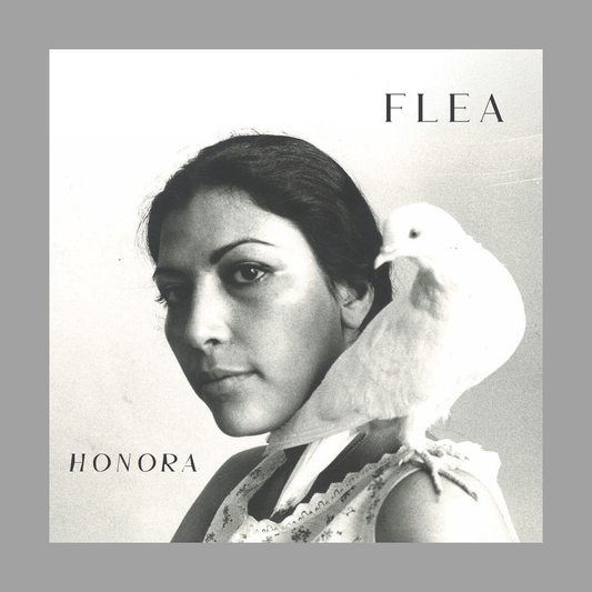 Flea - Honora