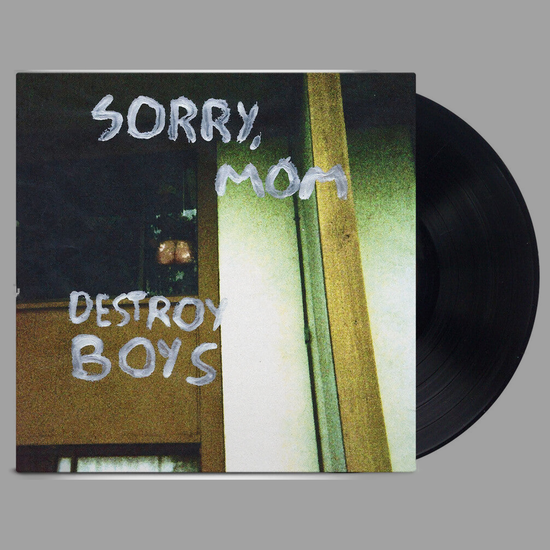 Destroy Boys - Sorry, Mom