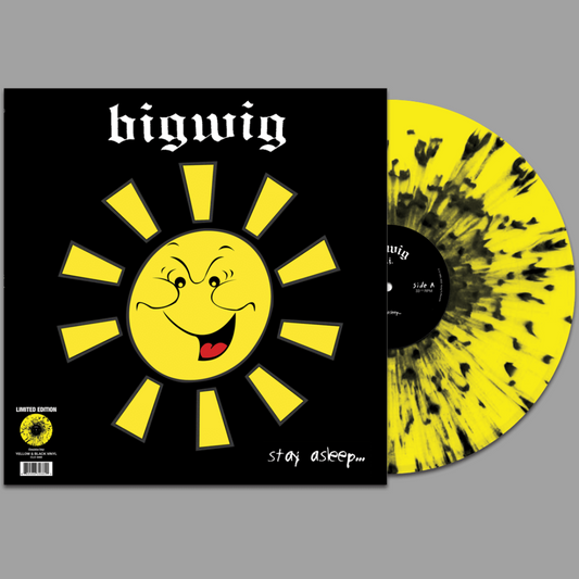 Bigwig - Stay Asleep