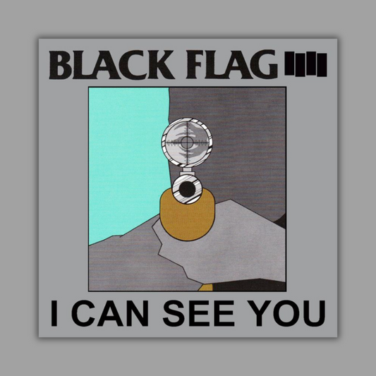 Black Flag - I Can See You