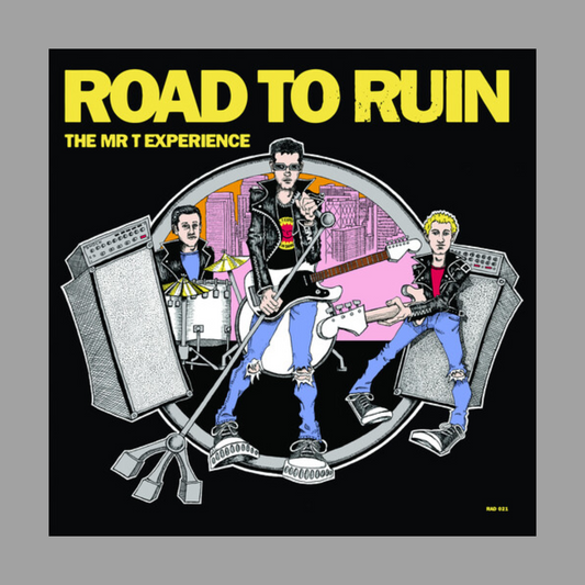 Mr. T Experience - Road to Ruin