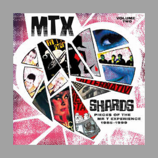 Mr. T Experience - Shards