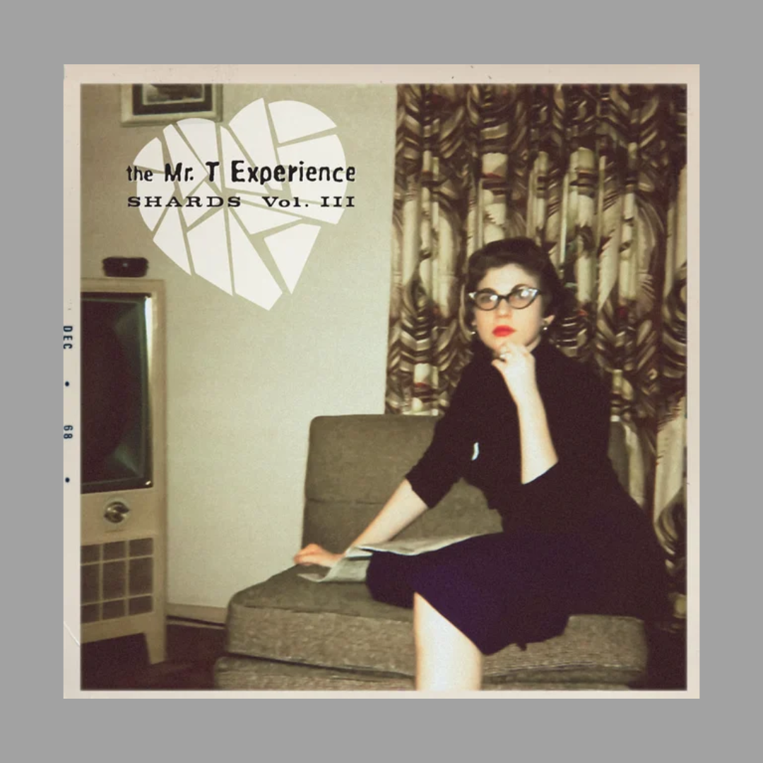 Mr. T Experience - Shards
