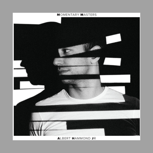 Albert Hammond, Jr. - Momentary Masters