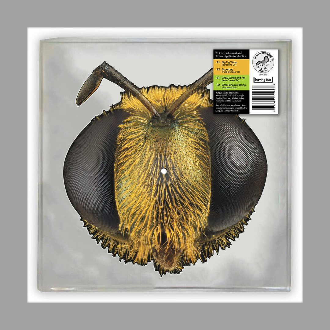 King Gizzard & The Lizard Wizard - Big Fig Wasp [RSD 2026]