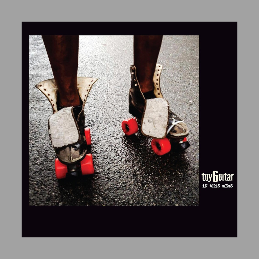 toyGuitar - In This Mess